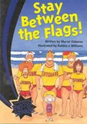 Bright Sparks: Stay between the Flags!