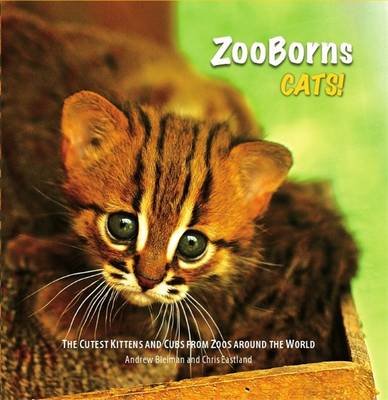 Zooborns: The Newest and Cutest Exotic Cats from Zoos Around the World!. by Andrew Bleiman, Chris Bleiman and Chris Eastland