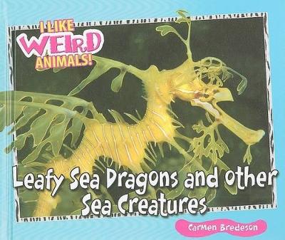 Leafy Sea Dragons and Other Weird Sea Creatures