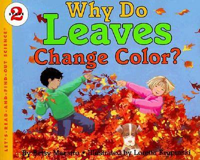Why Do Leaves Change Colour?