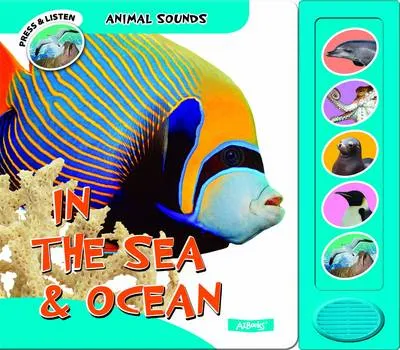 In the Sea and Ocean