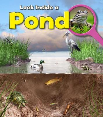 Pond