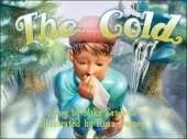 The Cold