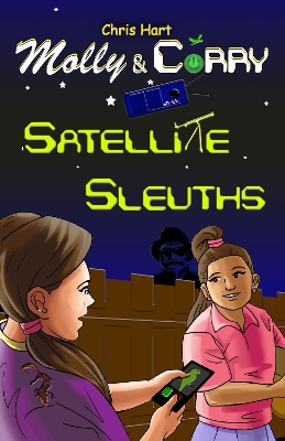 Satellite Sleuths
