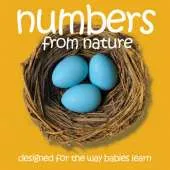 Numbers from Nature
