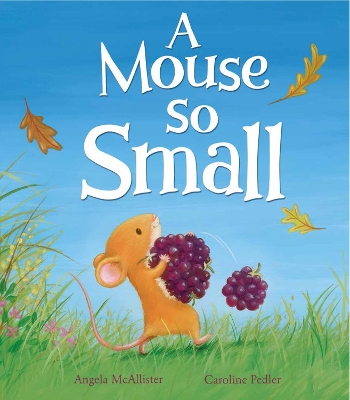 A Mouse So Small