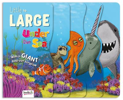 Under the Sea: Little to Large