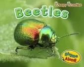 Beetles