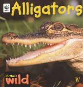 Alligators