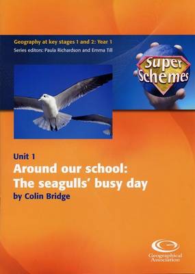Around Our School: The Seagulls' Busy Day