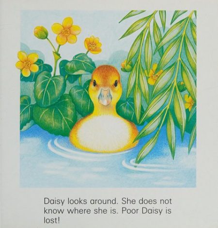 Daisy is Lost