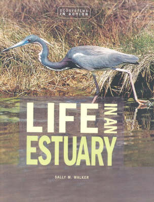 Life In An Estuary