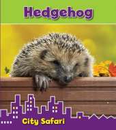 Hedgehog: City Safari