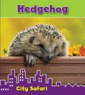 Hedgehog: City Safari