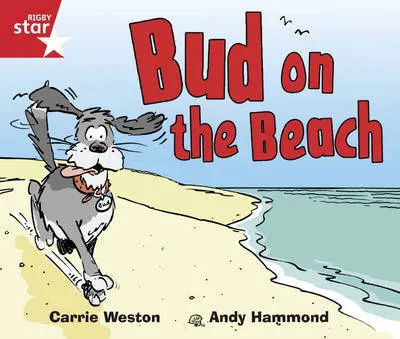 Rigby Star Guided Opportunity Readers Red Level: Bud on the Beach (6 Pack) Framework Edition