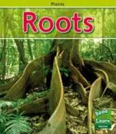 Roots