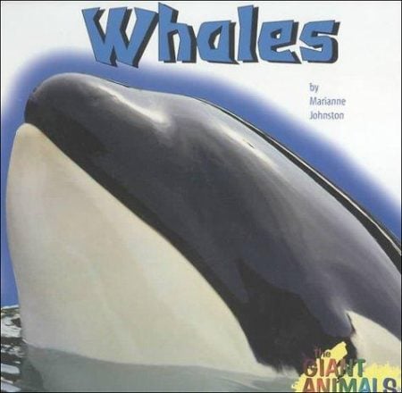 Whales