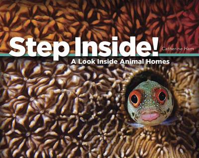 Step Inside!: A Look Inside Animal Homes