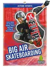 Big Air Skateboarding