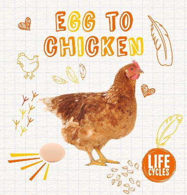 Egg To Chicken