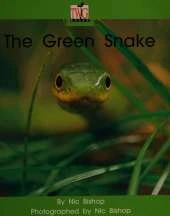 The Green Snake