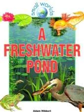 A Freshwater Pond