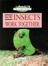 How Insects Work Together