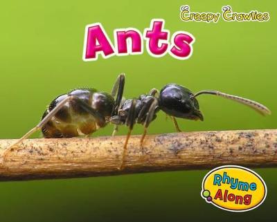 Creepy Crawlies Pack A of 3