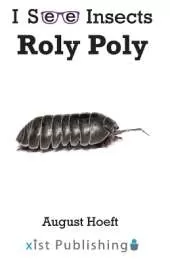 Roly Poly