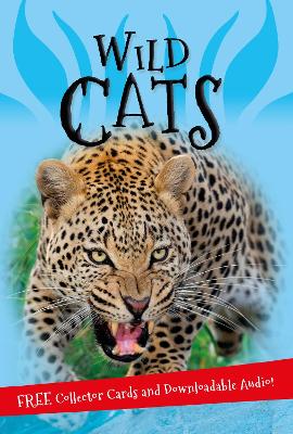 It's all about... Wild Cats