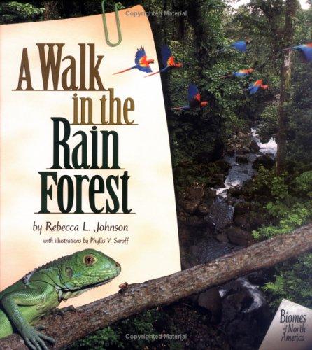 A Walk In The Rain Forest