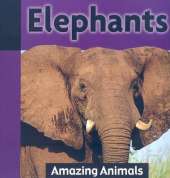 Elephants