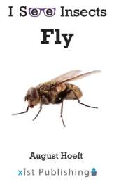 Fly