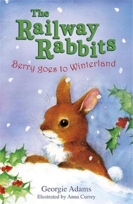 Berry Goes to Winterland: Book 2