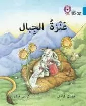 The Mountain Goat: Level 13