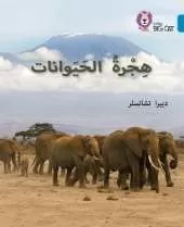 Animal Migration: Level 13