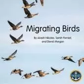 Migrating Birds