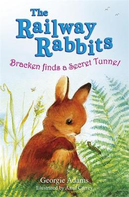 Bracken Finds a Secret Tunnel: Book 5