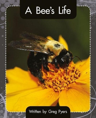 A Bee's Life