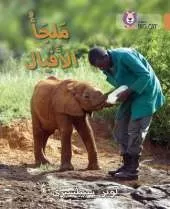 Elephant Sanctuary: Level 12