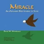 Miracle: An Orphaned Bird Learns To Soar