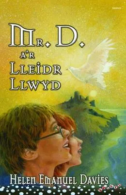 Mr D A'r Lleidr Llwyd