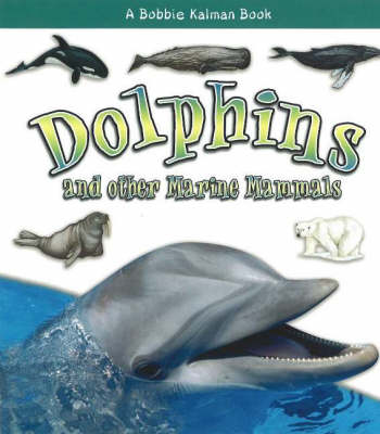 Dolphins and Other Marine Mammals