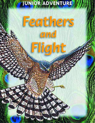 Feathers and Flight