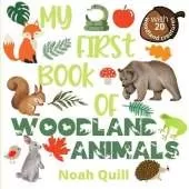 My first book of woodland animals: Colorful picture book introduction to nature's life in the woods for kids ages 2-5. Try to guess the 20 woodland animals names with illustrations and first letter hints.