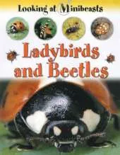 Ladybirds and Beetles