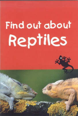 Find out about Reptiles