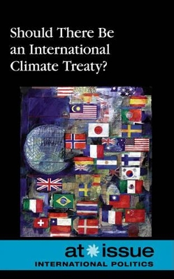 Should There Be an International Climate Treaty?