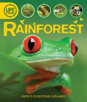 Life Cycles: Rainforest