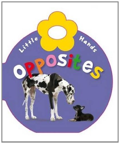 Little Hands: Little Hands Opposites